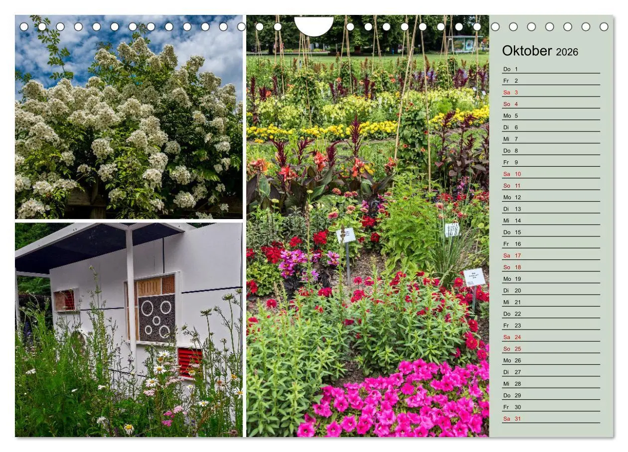 Bild: 9783457579190 | Gartenschau in Erfurt (Wandkalender 2026 DIN A4 quer), CALVENDO...