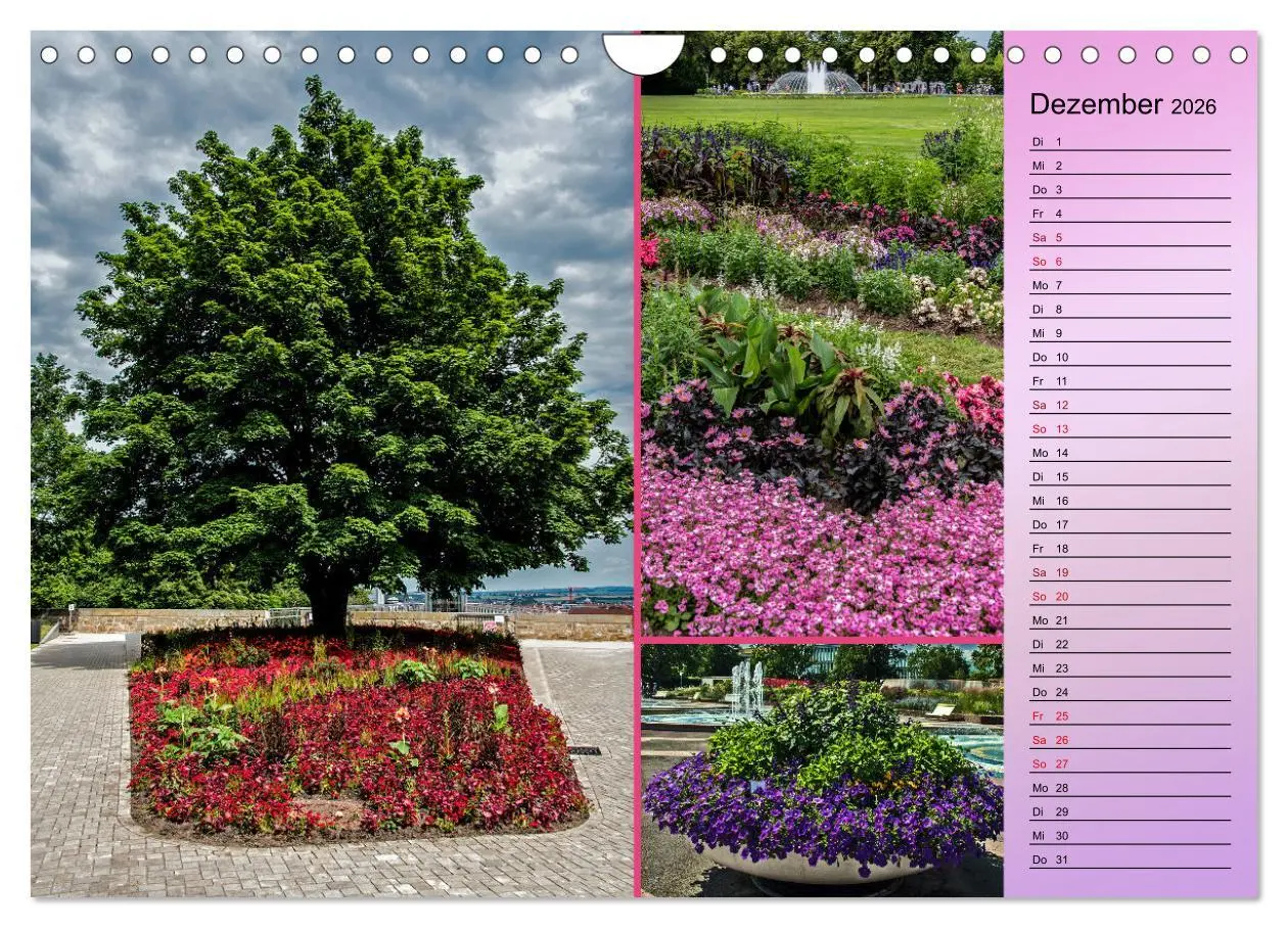 Bild: 9783457579190 | Gartenschau in Erfurt (Wandkalender 2026 DIN A4 quer), CALVENDO...