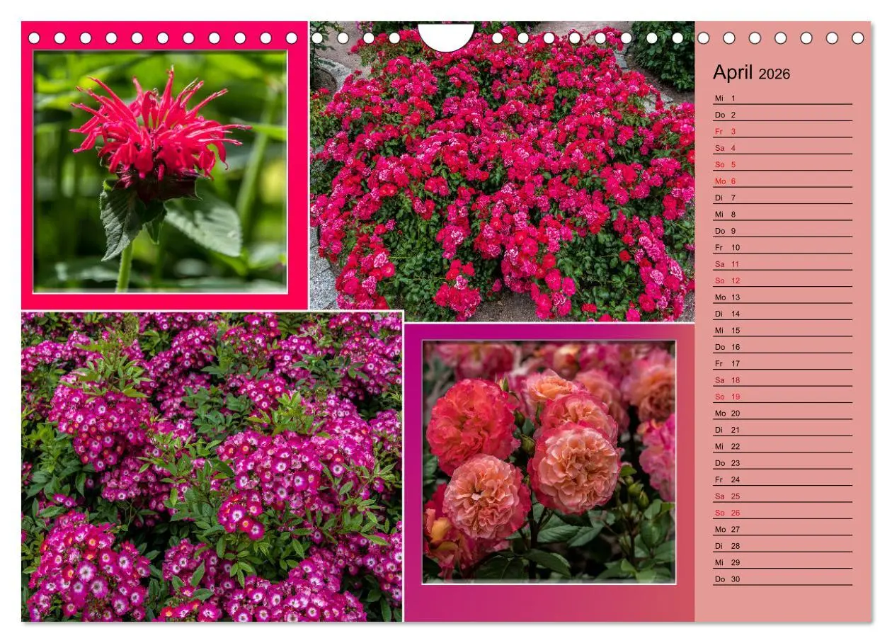 Bild: 9783457579190 | Gartenschau in Erfurt (Wandkalender 2026 DIN A4 quer), CALVENDO...