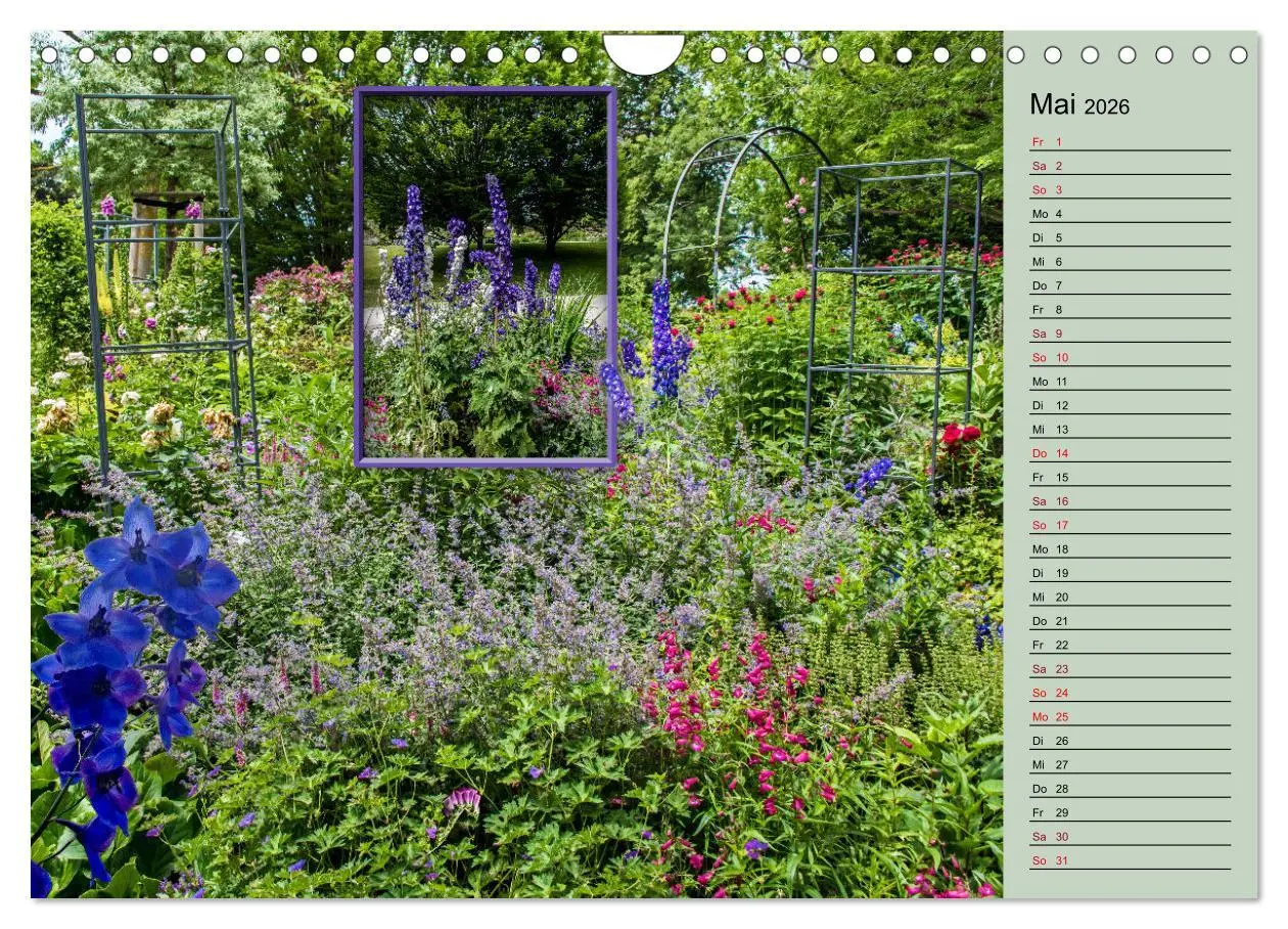 Bild: 9783457579190 | Gartenschau in Erfurt (Wandkalender 2026 DIN A4 quer), CALVENDO...