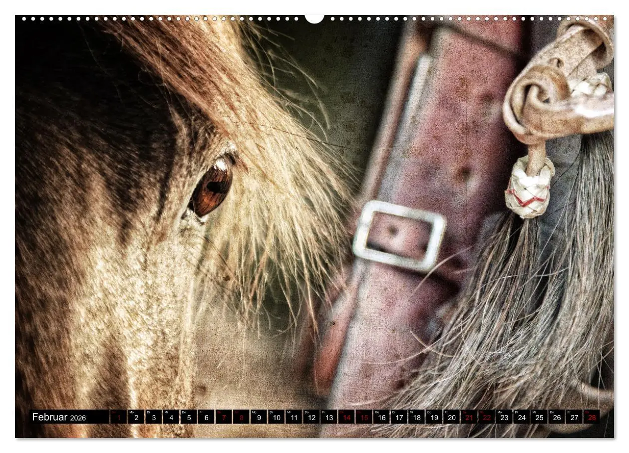 Bild: 9783457649190 | Magie Wilder Westen (Wandkalender 2026 DIN A2 quer), CALVENDO...