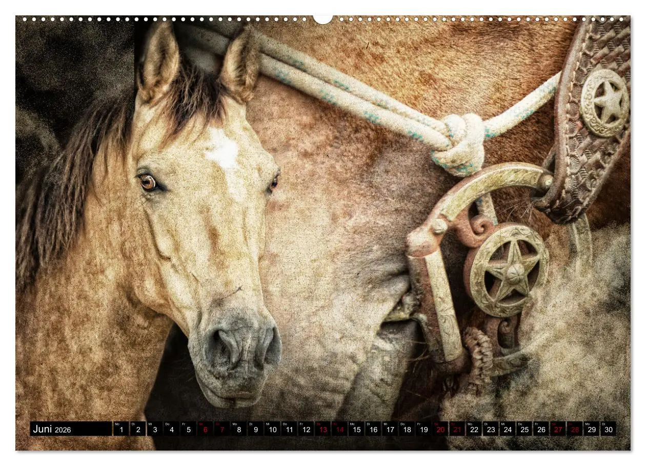 Bild: 9783457649190 | Magie Wilder Westen (Wandkalender 2026 DIN A2 quer), CALVENDO...