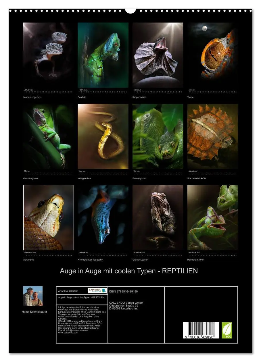 Bild: 9783516429190 | Auge in Auge mit coolen Typen - REPTILIEN (hochwertiger Premium...