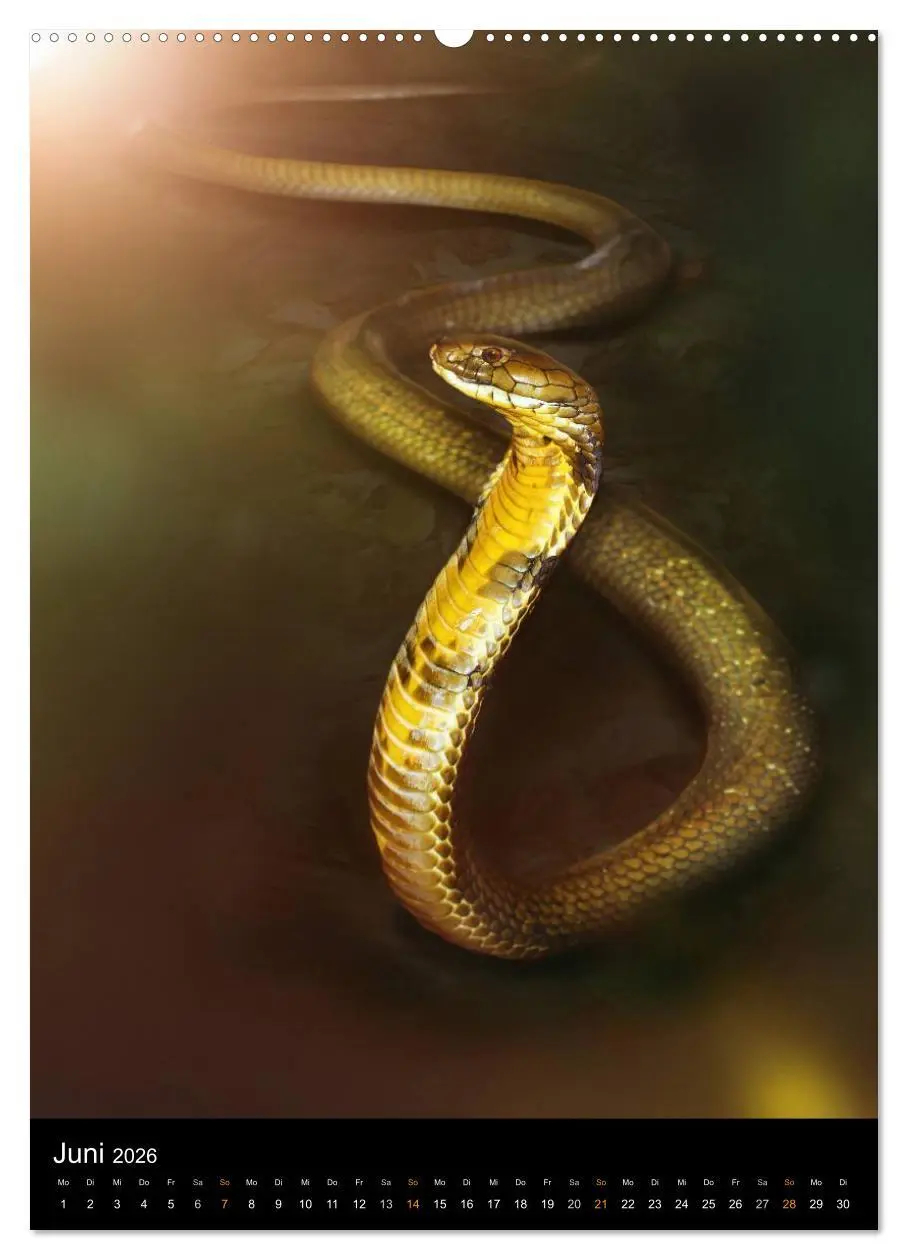 Bild: 9783516429190 | Auge in Auge mit coolen Typen - REPTILIEN (hochwertiger Premium...
