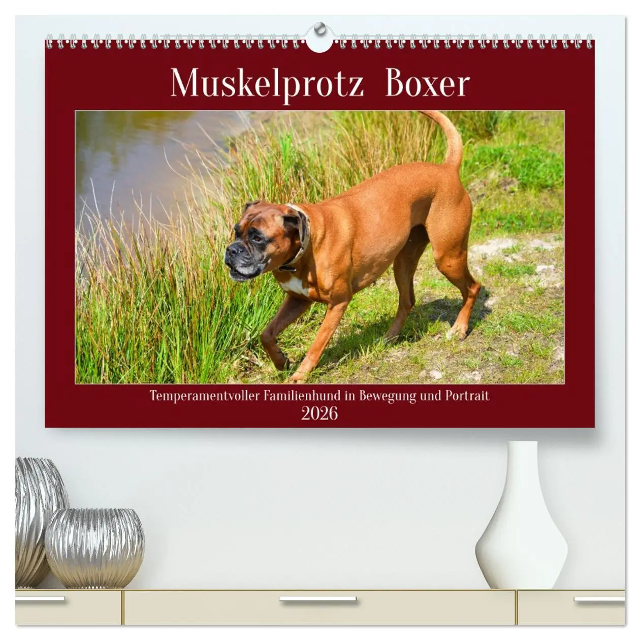 Cover: 9783457569290 | Muskelprotz Boxer (hochwertiger Premium Wandkalender 2026 DIN A2...