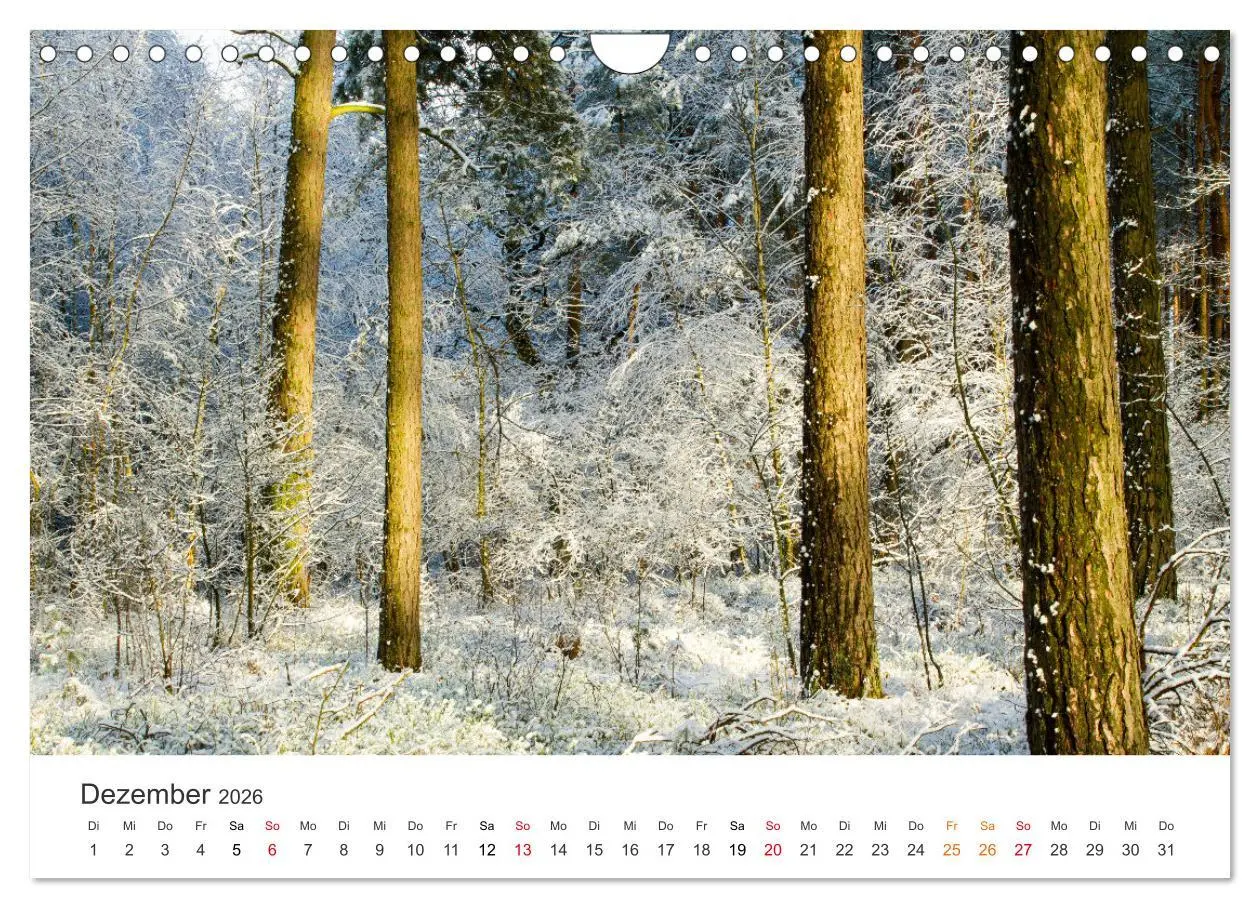 Bild: 9783457639290 | Faszination Natur - Bilder aus Mecklenburg-Vorpommern (Wandkalender...