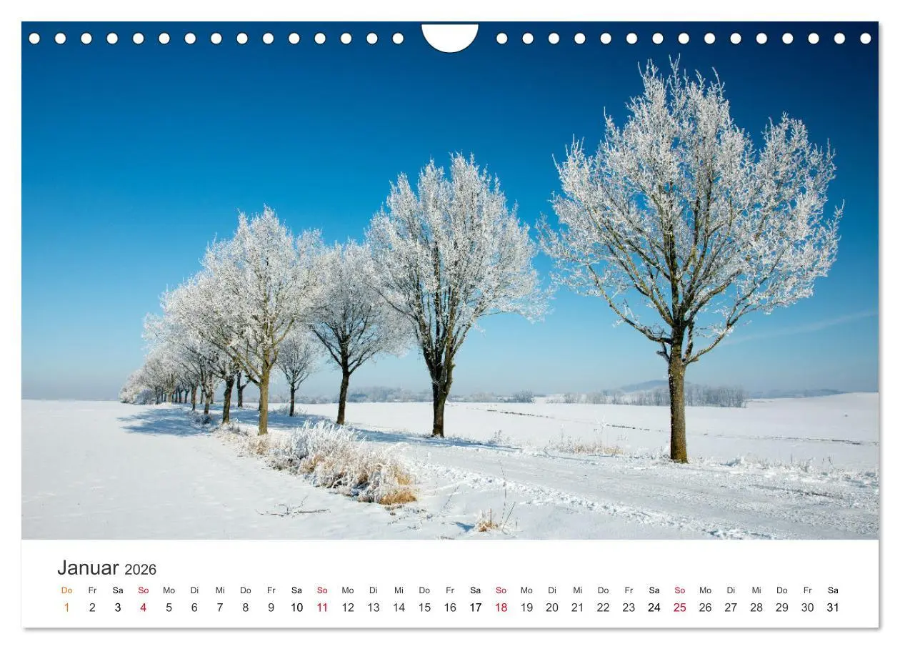 Bild: 9783457639290 | Faszination Natur - Bilder aus Mecklenburg-Vorpommern (Wandkalender...