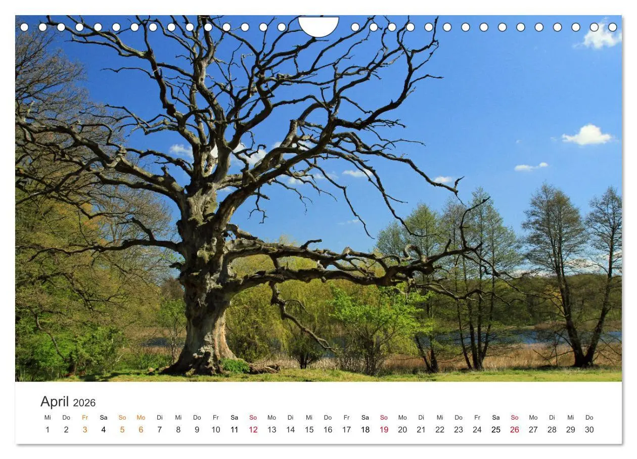 Bild: 9783457639290 | Faszination Natur - Bilder aus Mecklenburg-Vorpommern (Wandkalender...