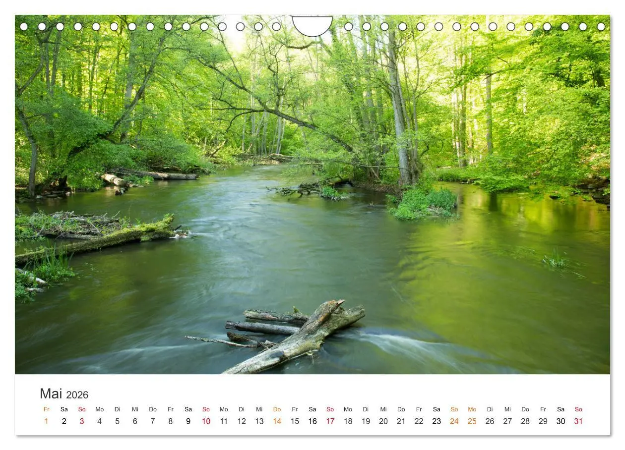 Bild: 9783457639290 | Faszination Natur - Bilder aus Mecklenburg-Vorpommern (Wandkalender...