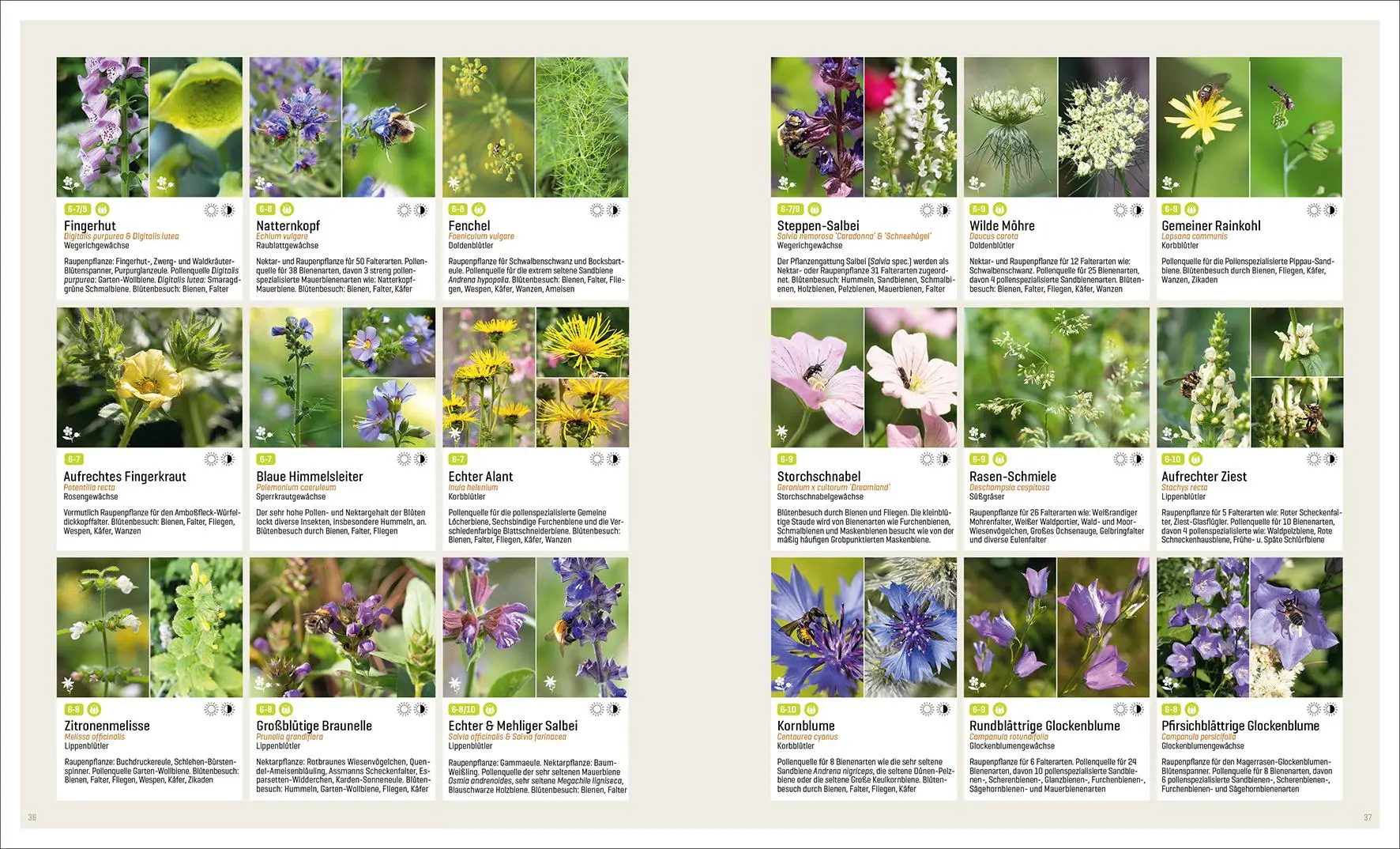 Bild: 9783943969290 | Mein Artenretter Garten | Anja Eder | Buch | 336 S. | Deutsch | 2024