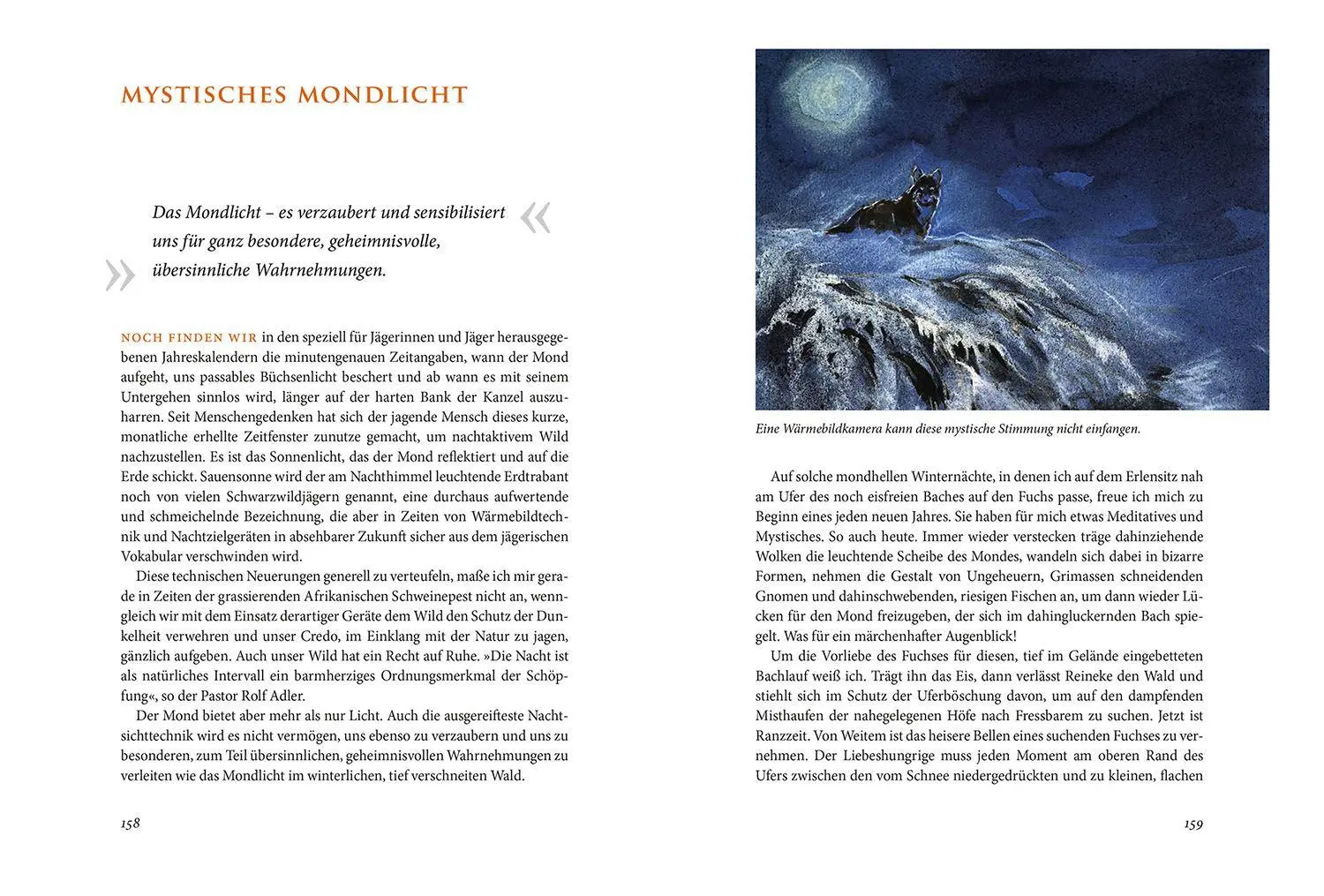 Bild: 9783440179390 | Im Hier und Jetzt | Jörg Mangold | Buch | 200 S. | Deutsch | 2024