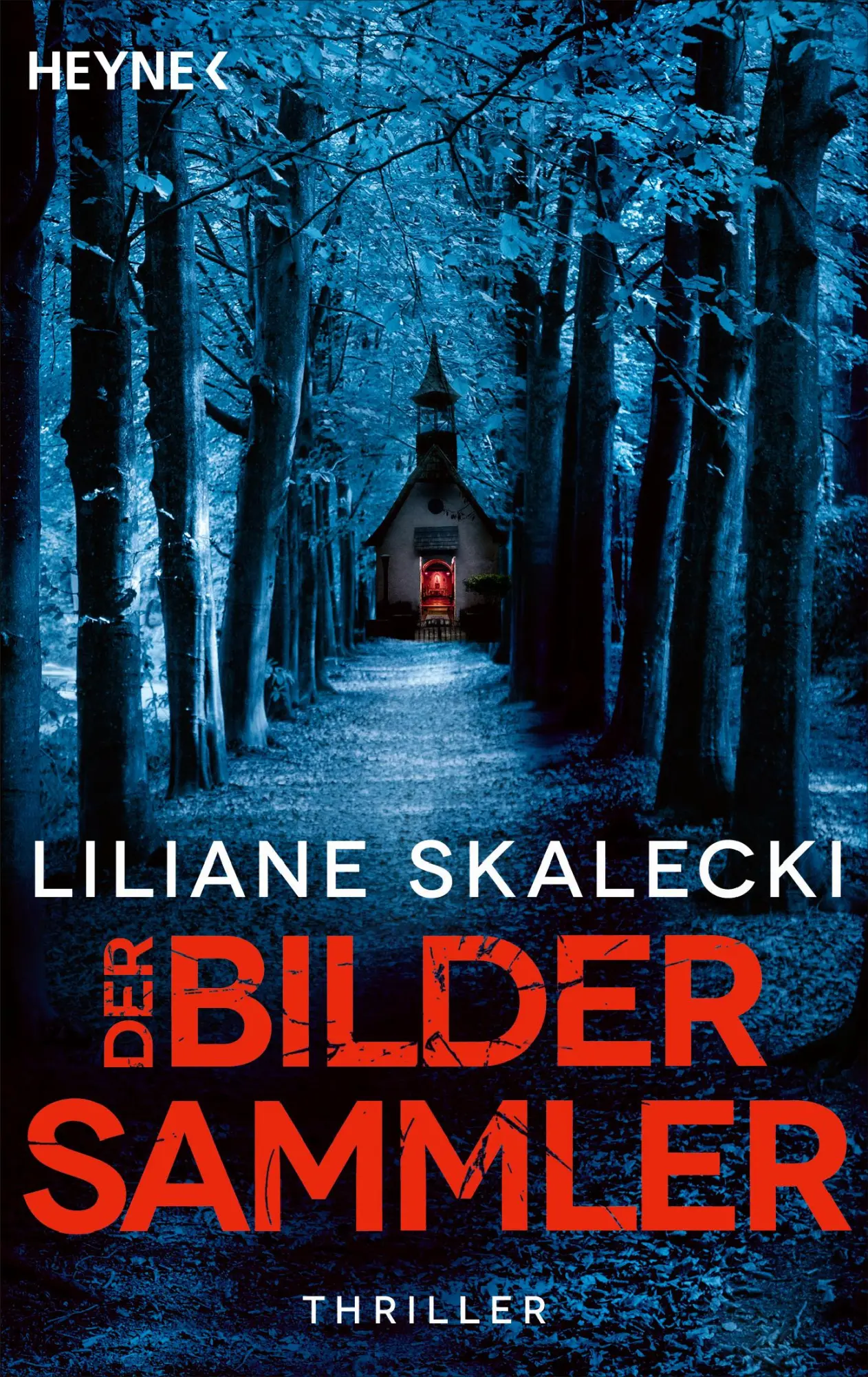 Cover: 9783453429390 | Der Bildersammler | Thriller | Liliane Skalecki | Taschenbuch | 432 S.