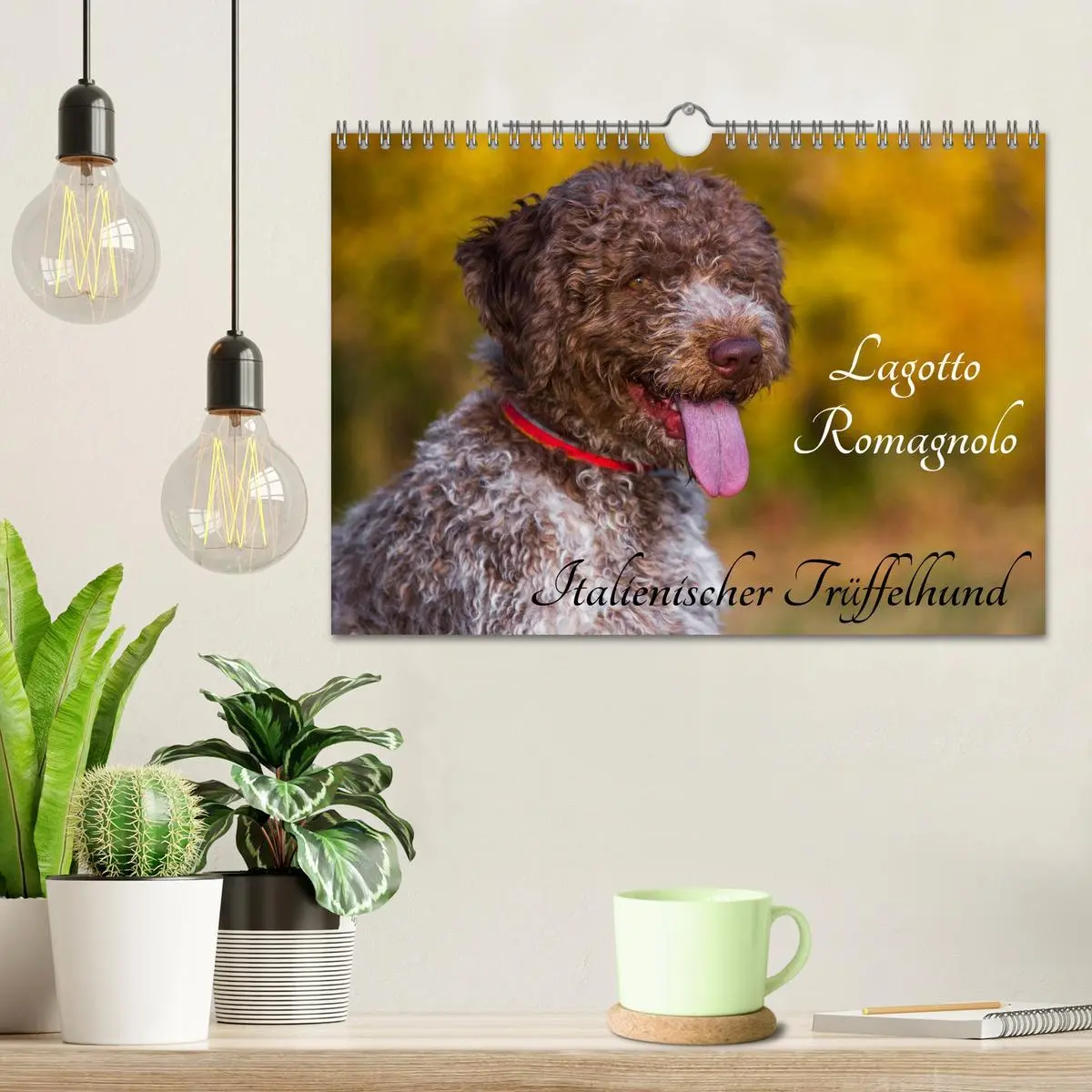 Bild: 9783516029390 | Lagotto Romagnolo - Italienischer Trüffelhund (Wandkalender 2026...