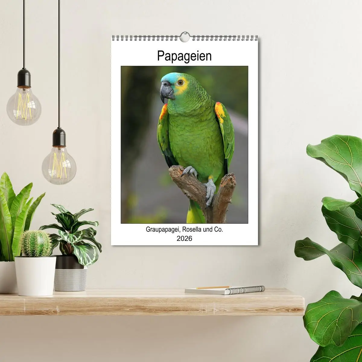 Bild: 9783516409390 | Papageien - Graupapagei, Rosella und Co. (Wandkalender 2026 DIN A3...