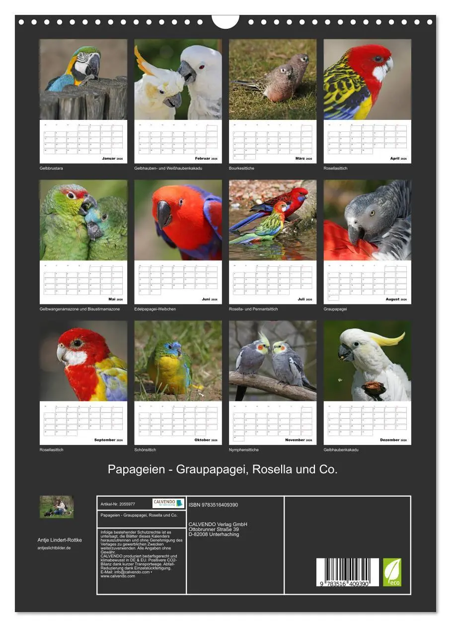 Bild: 9783516409390 | Papageien - Graupapagei, Rosella und Co. (Wandkalender 2026 DIN A3...