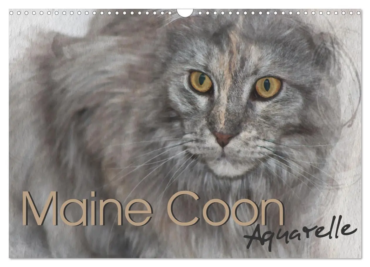 Cover: 9783457619490 | Maine Coon Aquarelle (Wandkalender 2026 DIN A3 quer), CALVENDO...