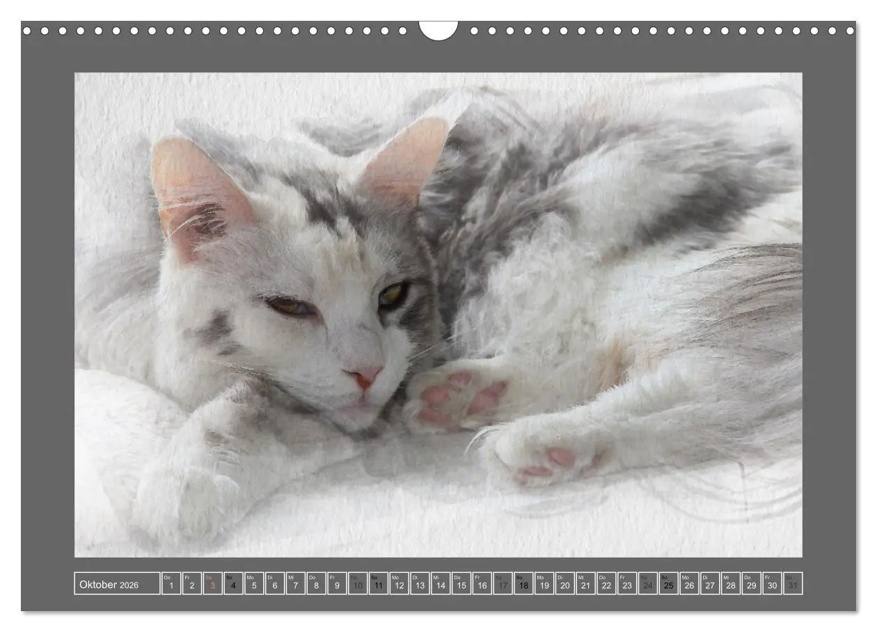 Bild: 9783457619490 | Maine Coon Aquarelle (Wandkalender 2026 DIN A3 quer), CALVENDO...