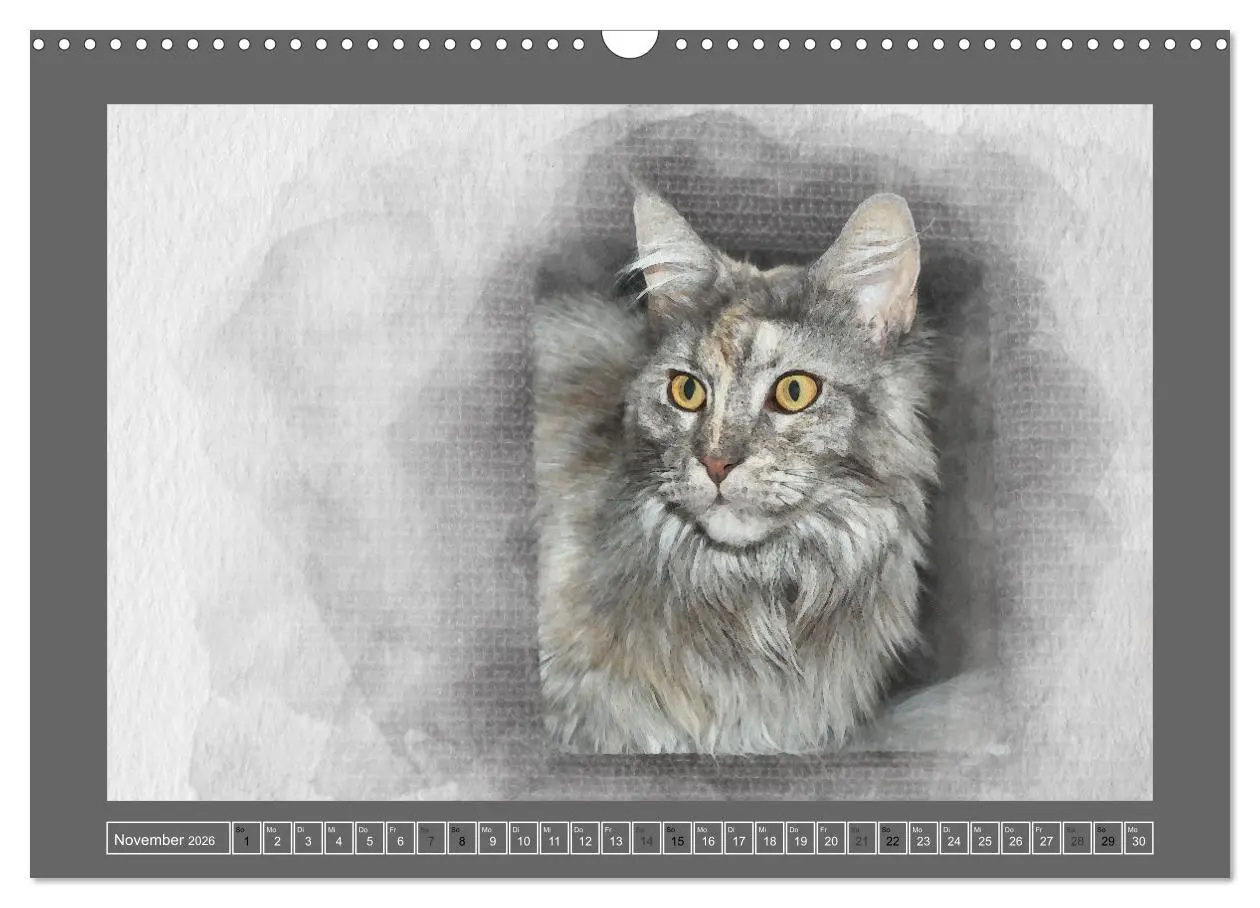 Bild: 9783457619490 | Maine Coon Aquarelle (Wandkalender 2026 DIN A3 quer), CALVENDO...