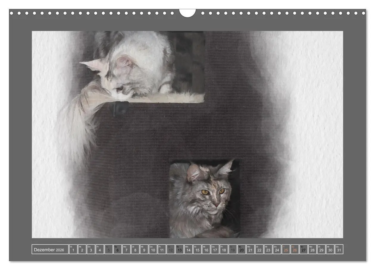 Bild: 9783457619490 | Maine Coon Aquarelle (Wandkalender 2026 DIN A3 quer), CALVENDO...