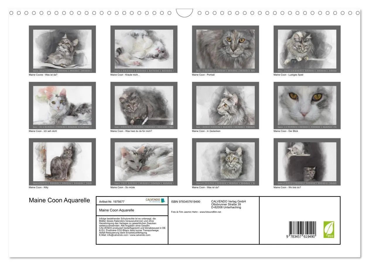 Bild: 9783457619490 | Maine Coon Aquarelle (Wandkalender 2026 DIN A3 quer), CALVENDO...