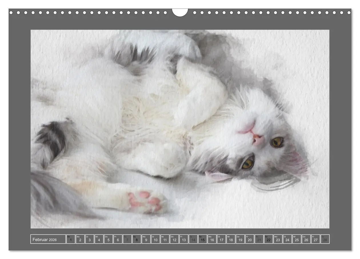 Bild: 9783457619490 | Maine Coon Aquarelle (Wandkalender 2026 DIN A3 quer), CALVENDO...