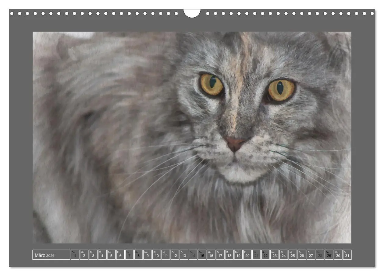 Bild: 9783457619490 | Maine Coon Aquarelle (Wandkalender 2026 DIN A3 quer), CALVENDO...