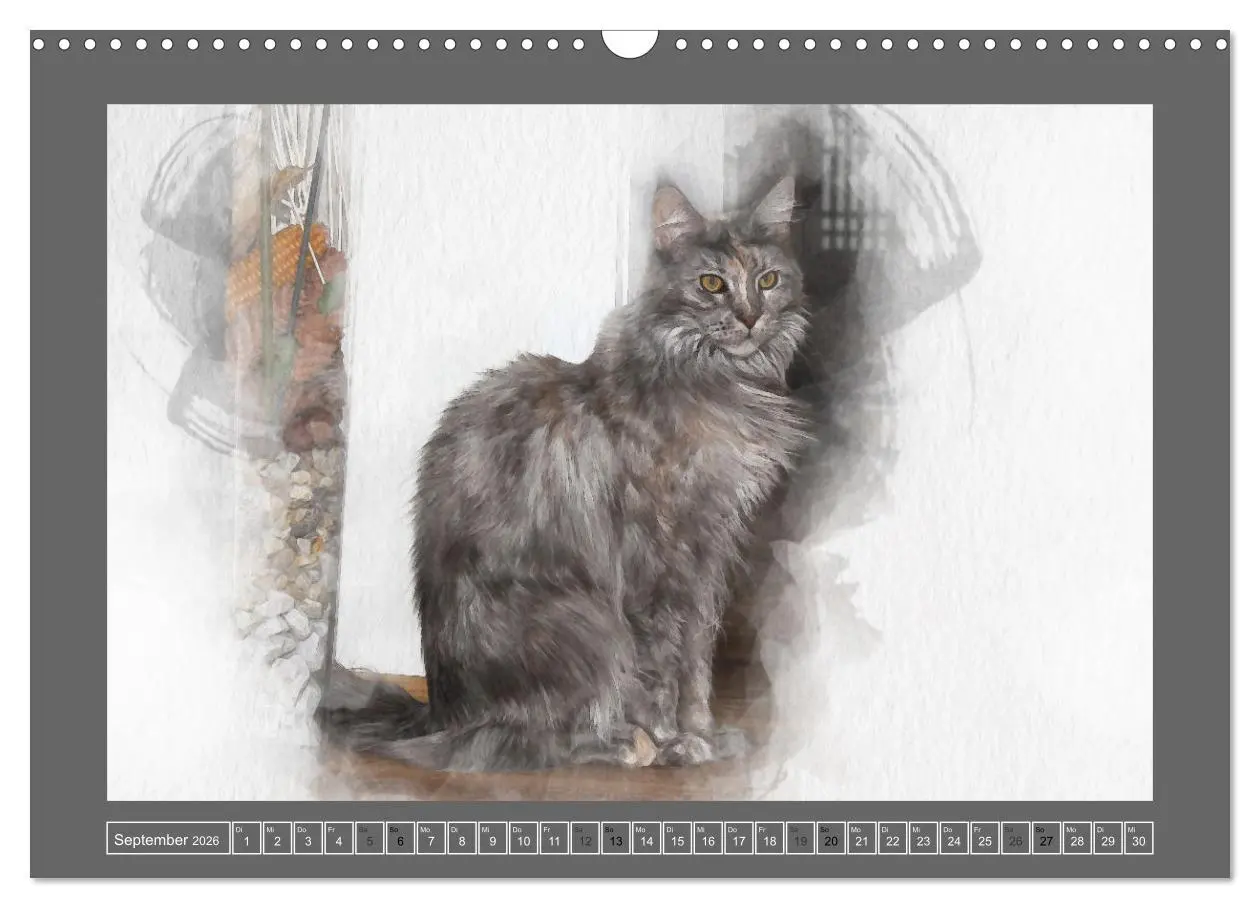 Bild: 9783457619490 | Maine Coon Aquarelle (Wandkalender 2026 DIN A3 quer), CALVENDO...