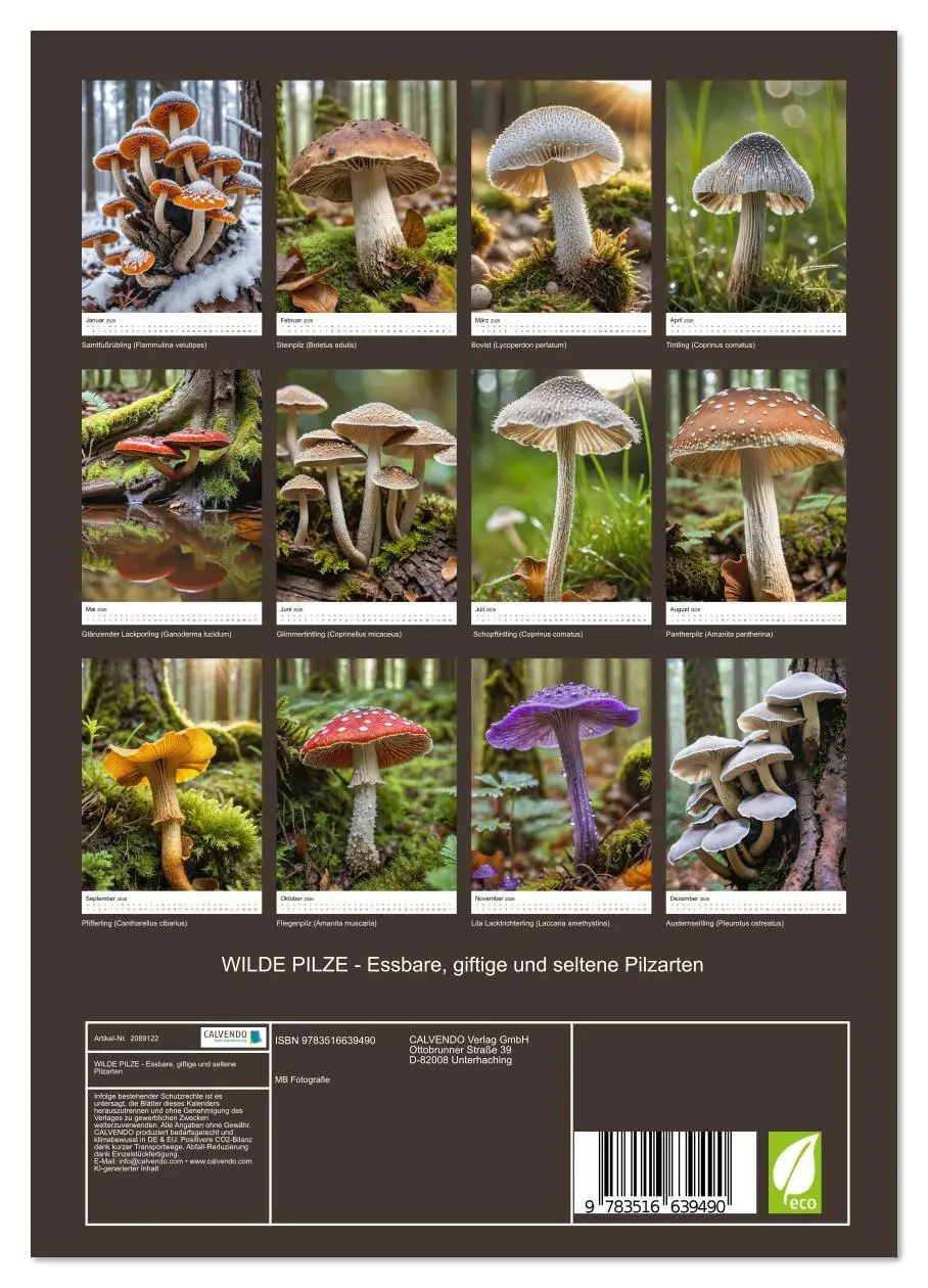 Bild: 9783516639490 | WILDE PILZE - Essbare, giftige und seltene Pilzarten (Wandkalender...