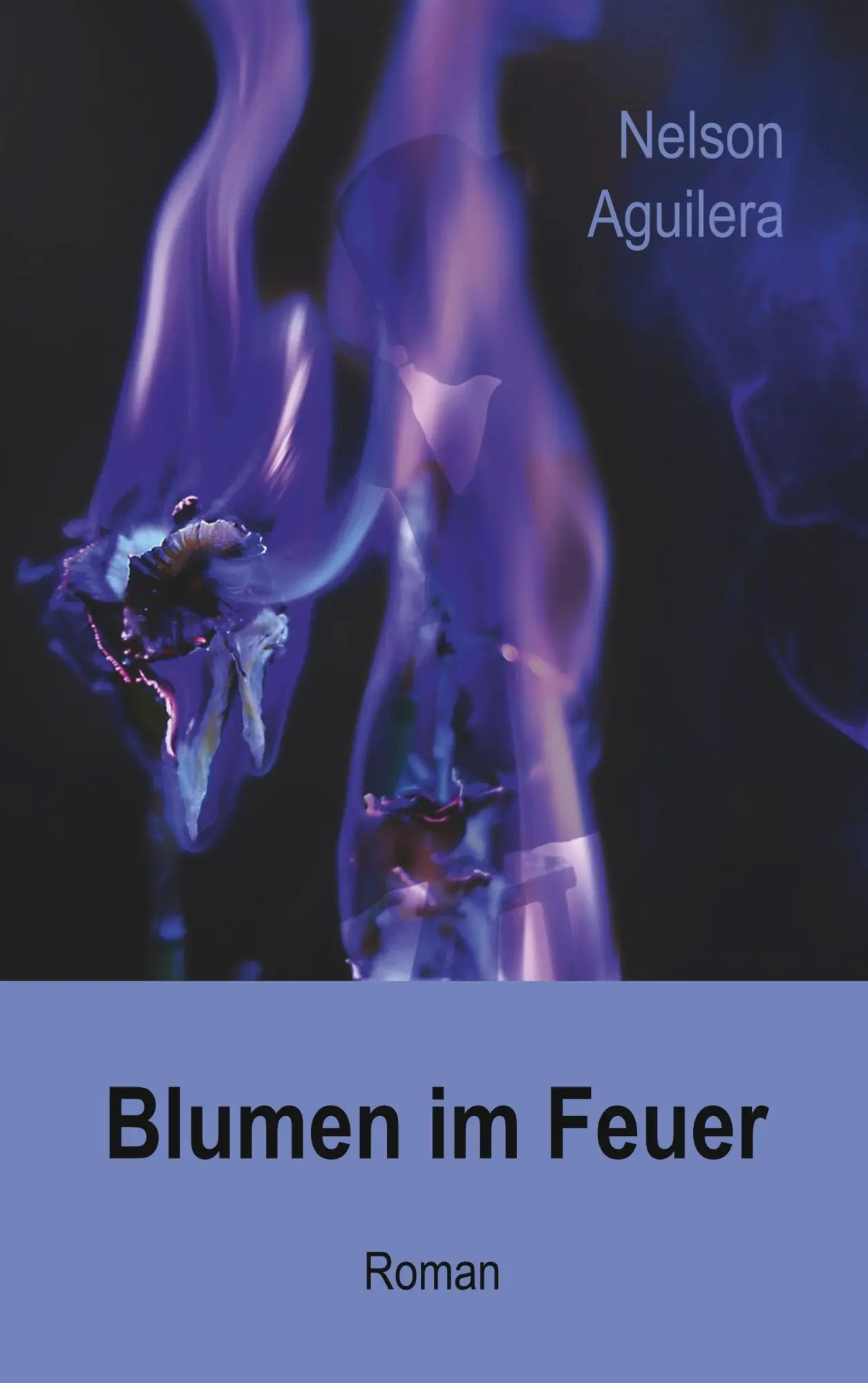 Cover: 9783746009490 | Blumen im Feuer | Nelson Aguilera | Taschenbuch | 176 S. | Deutsch