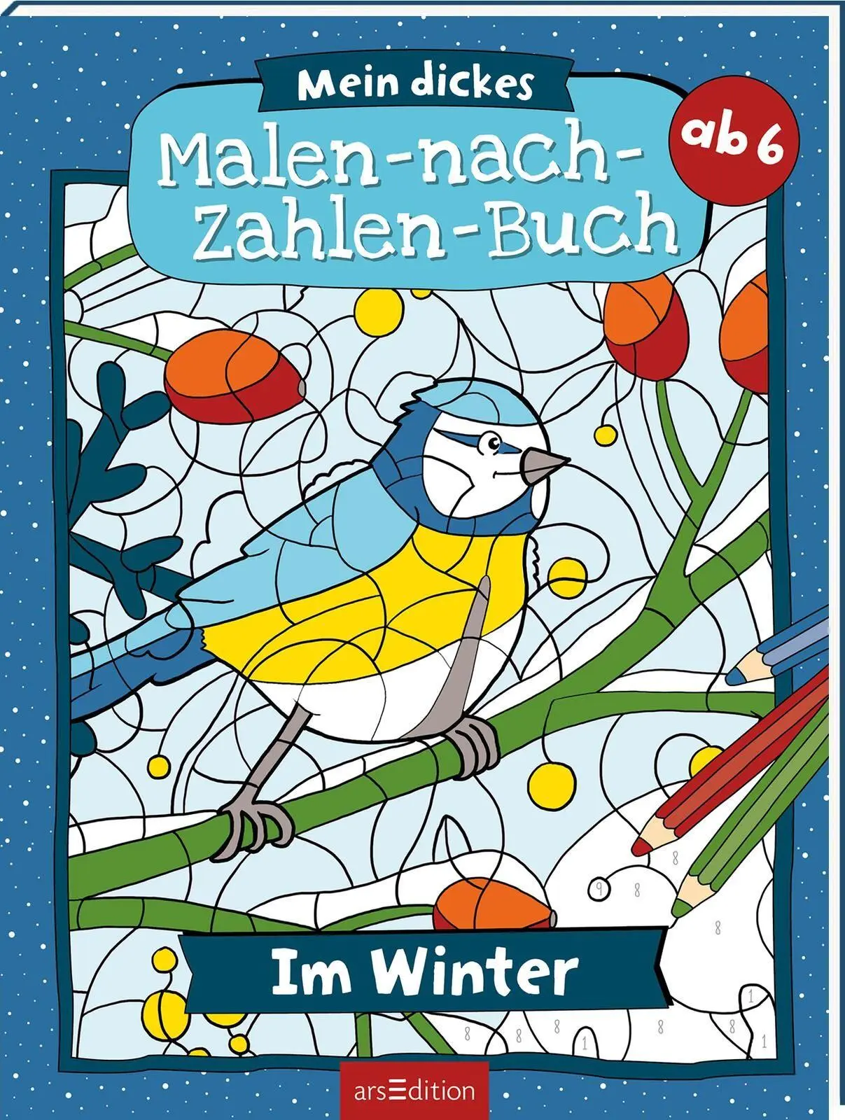 Cover: 9783845869490 | Mein dickes Malen-nach-Zahlen-Buch - Im Winter | Petra Theissen | Buch