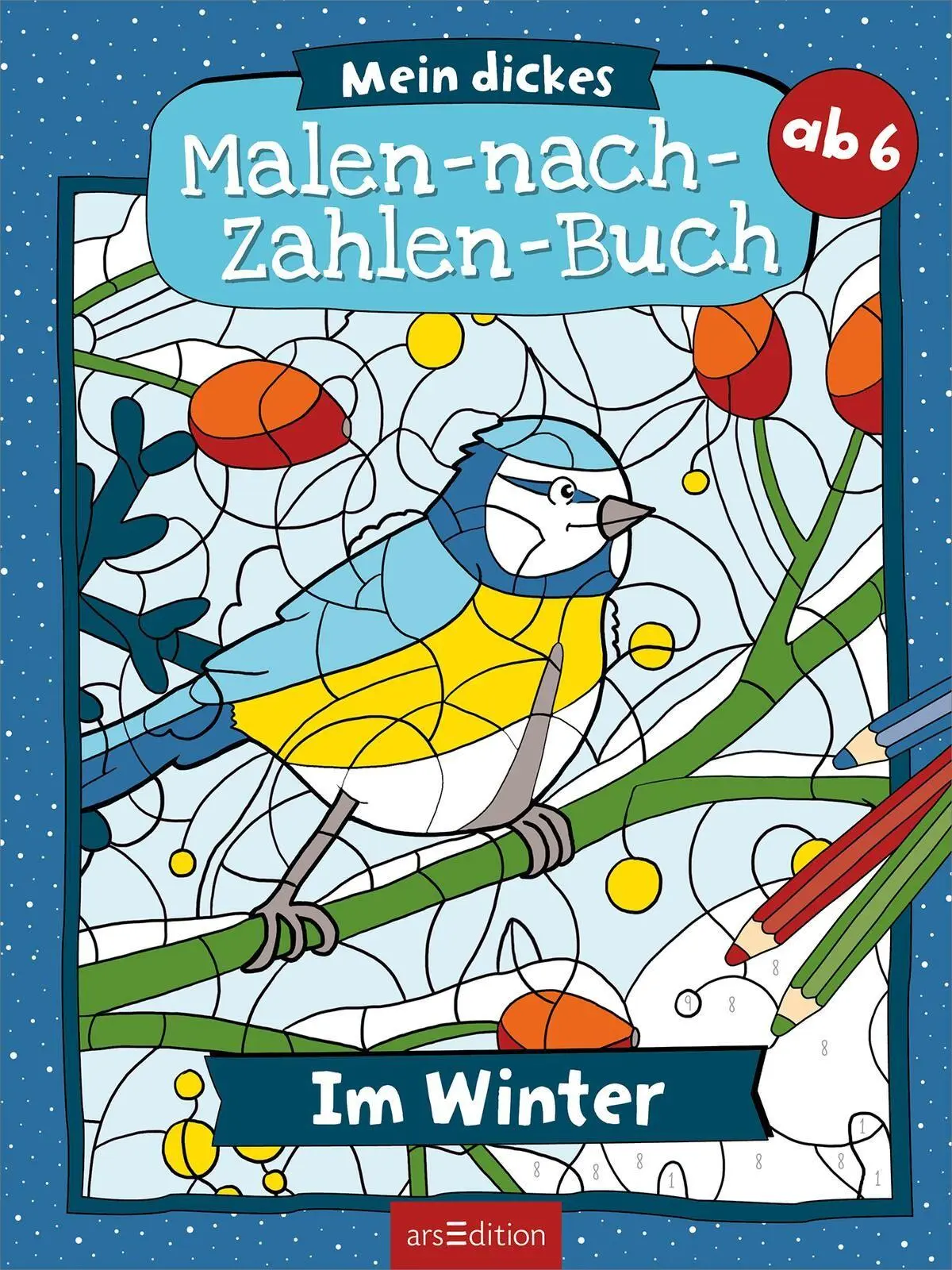 Bild: 9783845869490 | Mein dickes Malen-nach-Zahlen-Buch - Im Winter | Petra Theissen | Buch