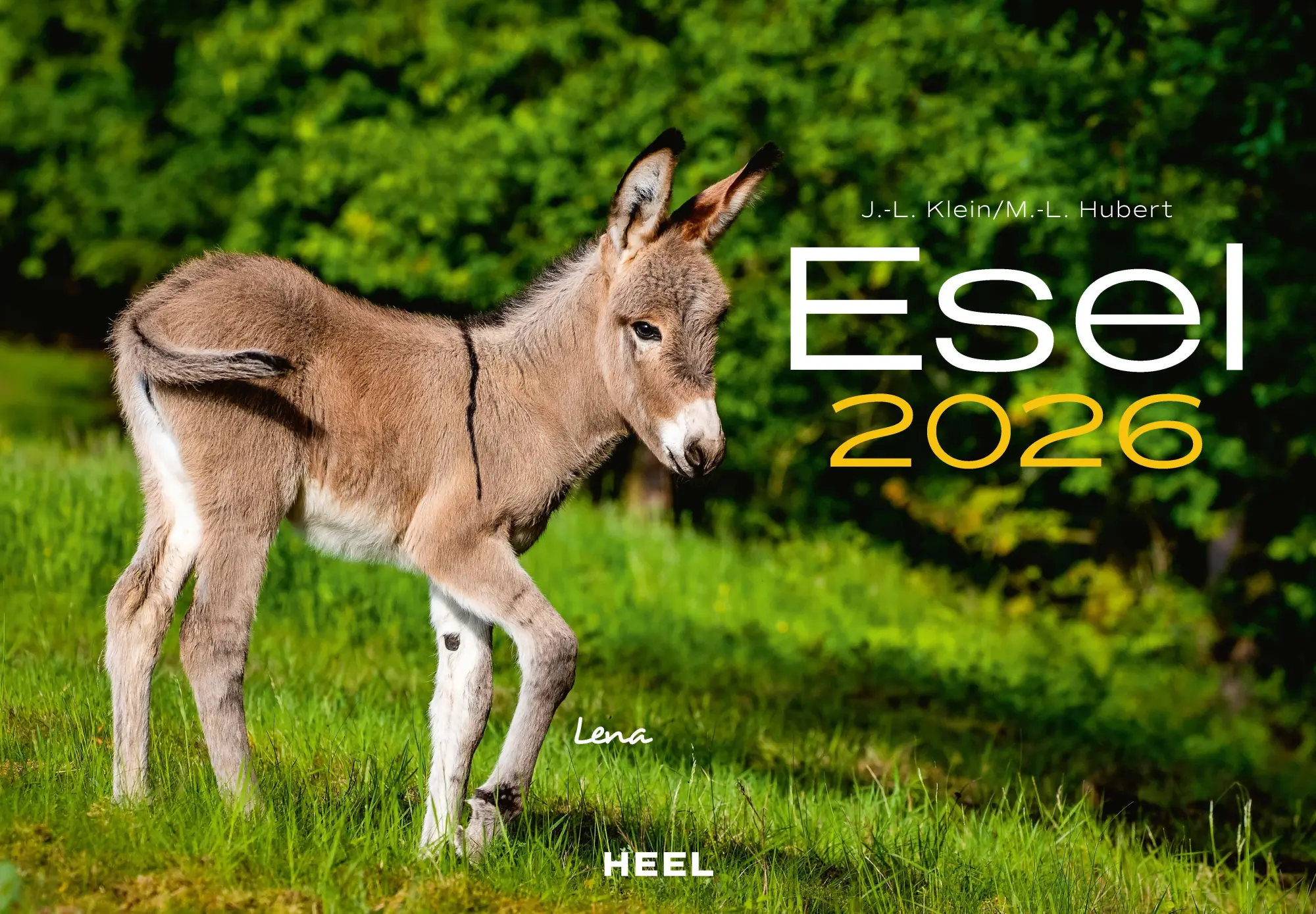 Cover: 9783966649490 | Esel Kalender 2026 | J. -L. Klein (u. a.) | Kalender | 14 S. | Deutsch