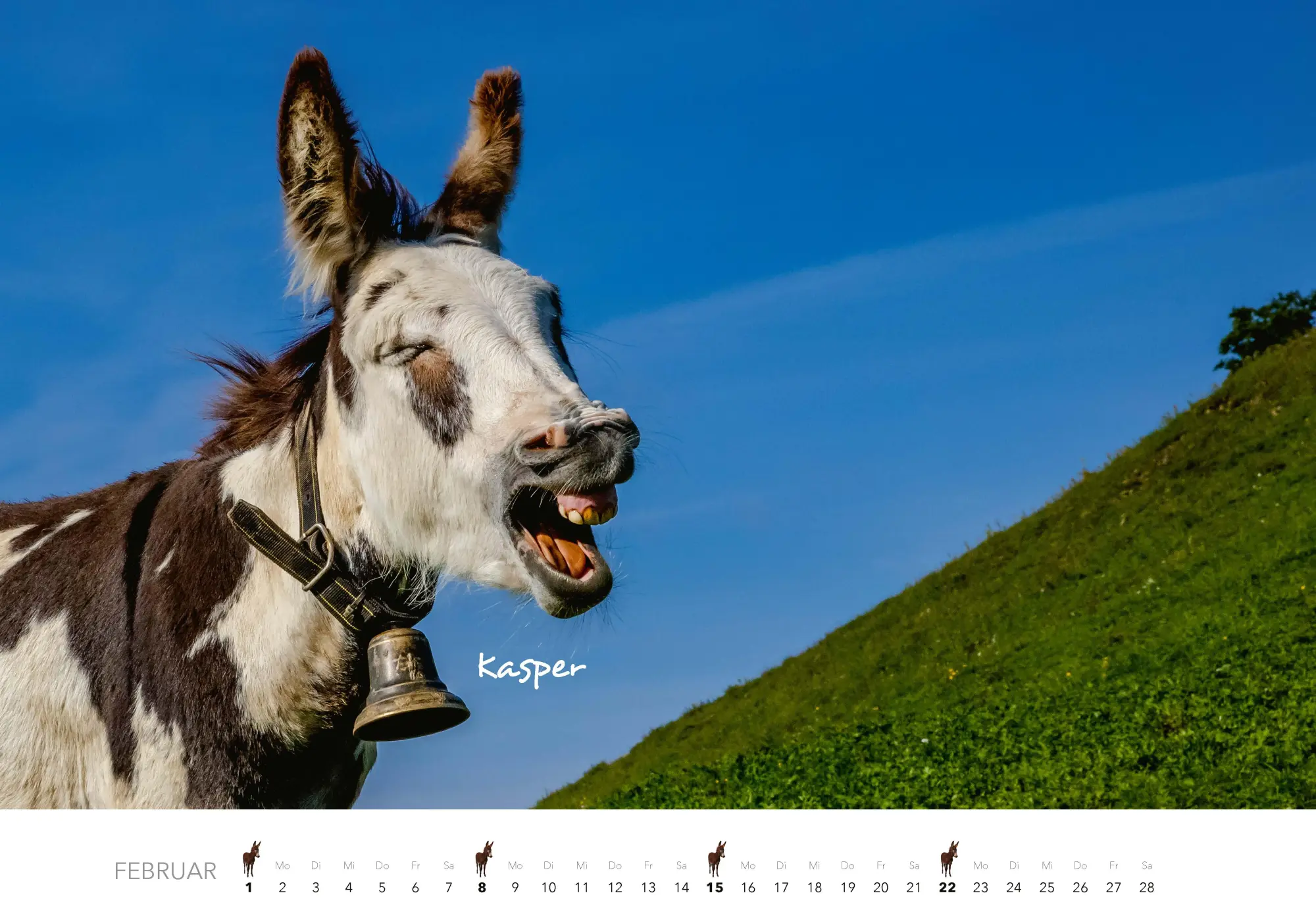 Bild: 9783966649490 | Esel Kalender 2026 | J. -L. Klein (u. a.) | Kalender | 14 S. | Deutsch