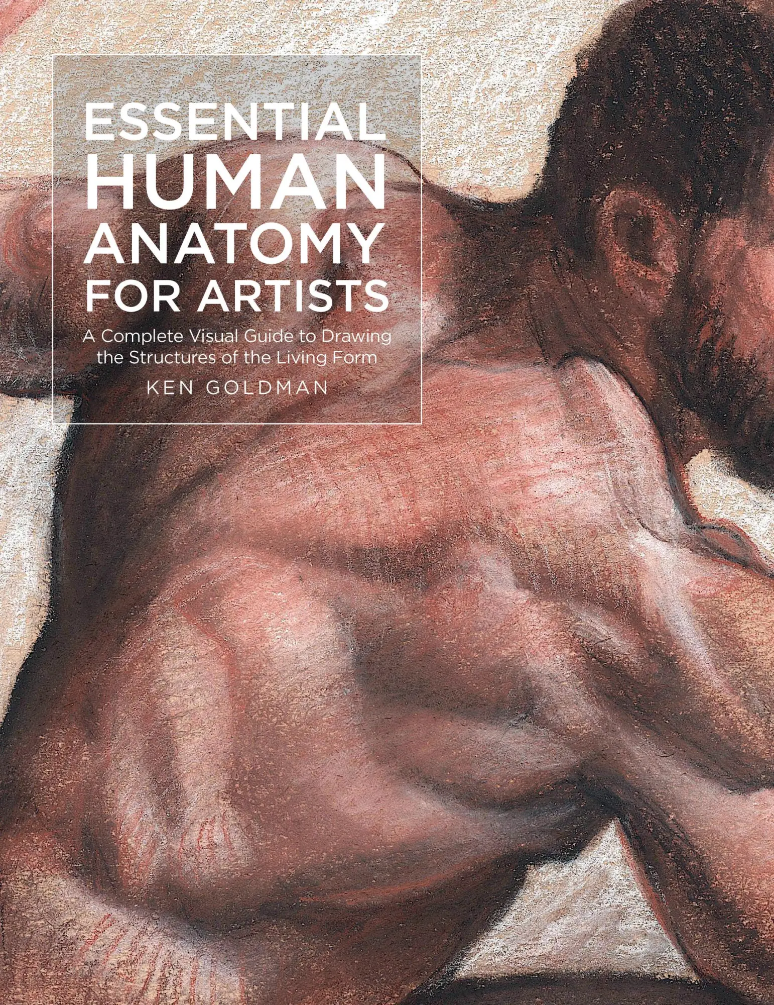 Cover: 9781631599590 | Essential Human Anatomy for Artists | Ken Goldman | Taschenbuch | 2024