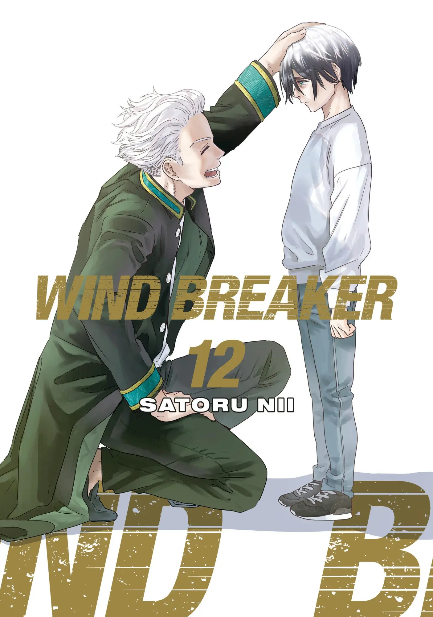Cover: 9781646519590 | Wind Breaker 12 | Satoru Nii | Taschenbuch | Englisch | 2025