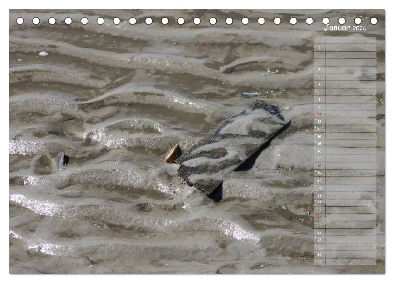 Bild: 9783516179590 | Strandspaziergang / Geburtstagskalender (Tischkalender 2026 DIN A5...