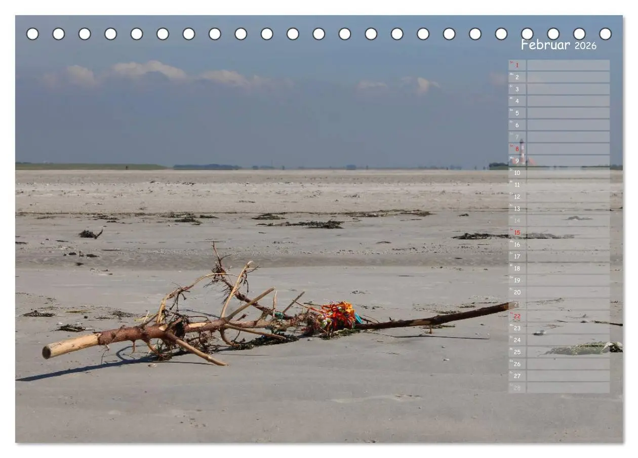 Bild: 9783516179590 | Strandspaziergang / Geburtstagskalender (Tischkalender 2026 DIN A5...