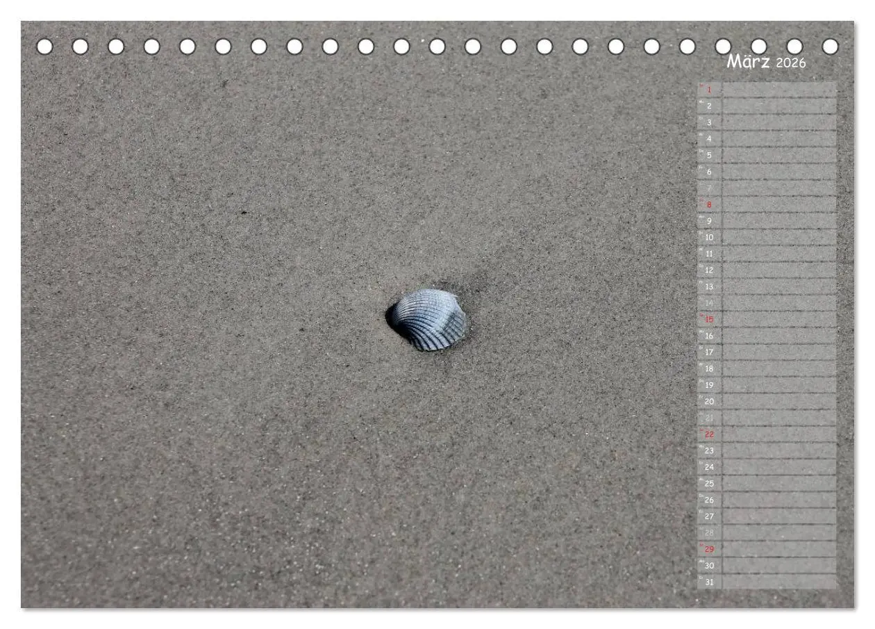 Bild: 9783516179590 | Strandspaziergang / Geburtstagskalender (Tischkalender 2026 DIN A5...