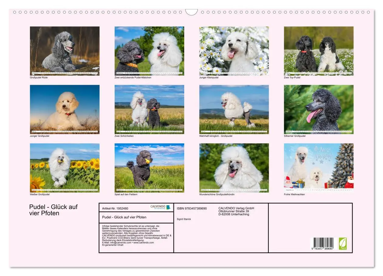 Bild: 9783457389690 | Pudel - Glück auf vier Pfoten (Wandkalender 2026 DIN A2 quer),...