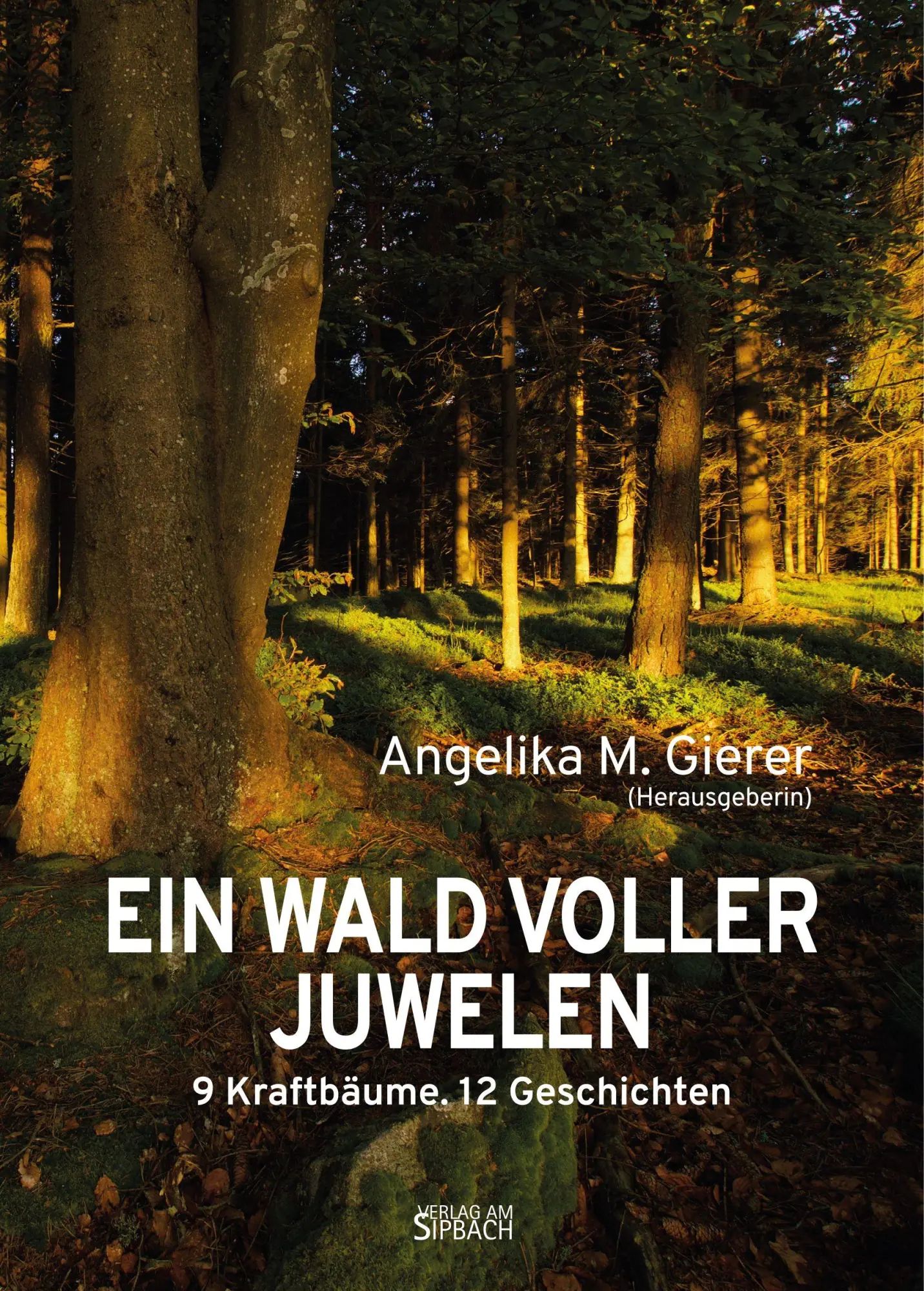 Cover: 9783903259690 | EIN WALD VOLLER JUWELEN | 9 Kraftbäume. 12 Geschichten | Gierer | Buch