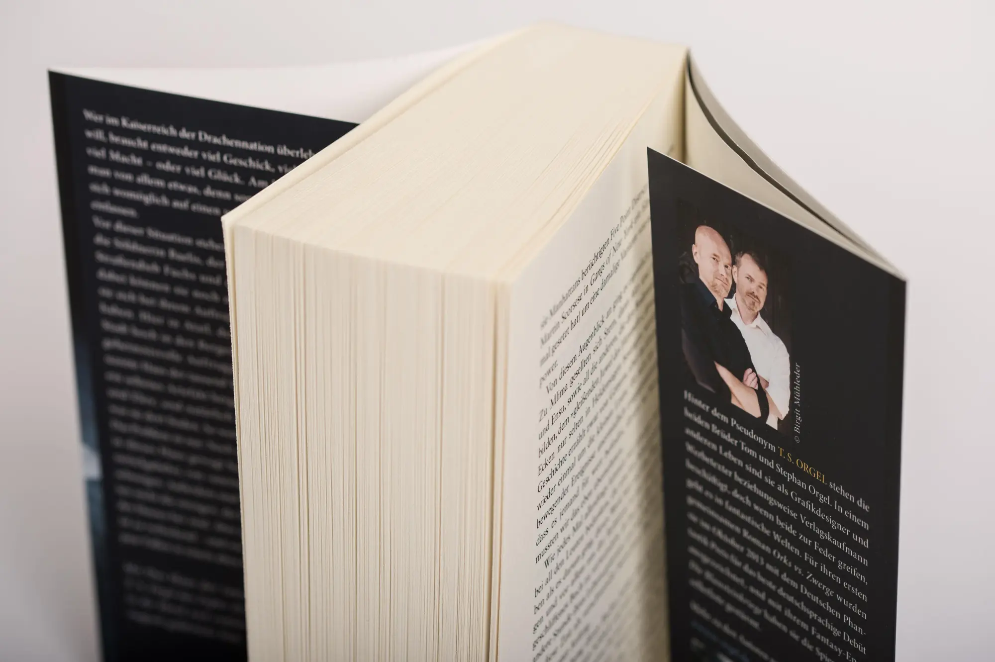 Bild: 9783453319790 | Das Haus der tausend Welten | Roman | T. S. Orgel | Taschenbuch | 2020