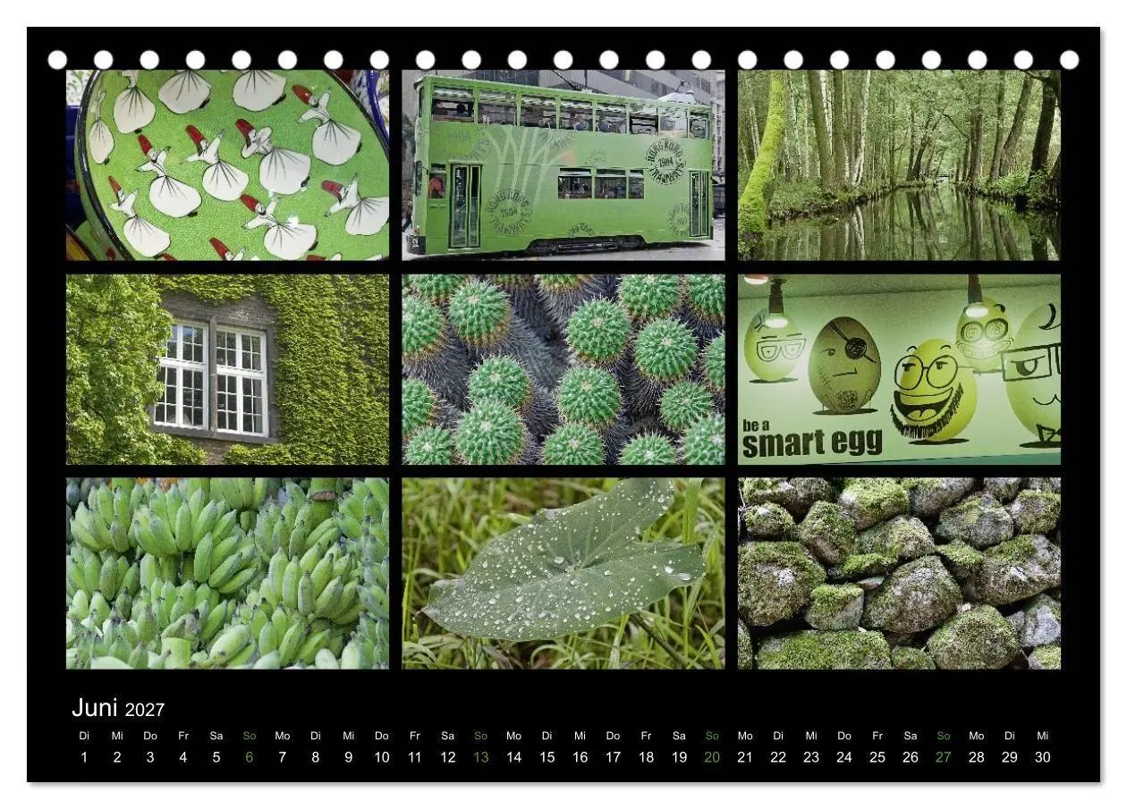 Bild: 9783594209790 | Colours (Tischkalender 2027 DIN A5 quer), CALVENDO Monatskalender