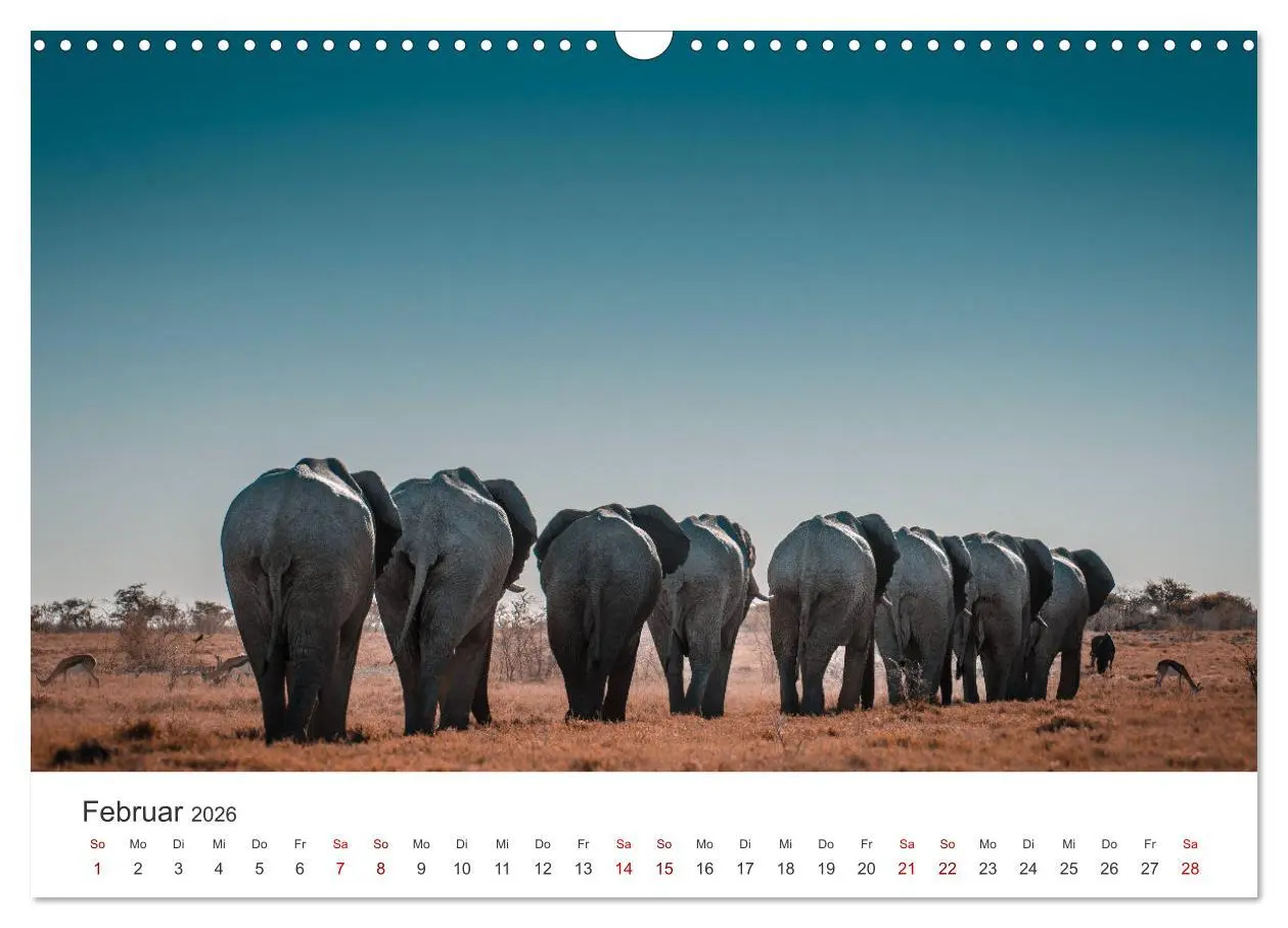 Bild: 9783457599990 | Namibia - Das wunderschöne Land am Atlantik. (Wandkalender 2026 DIN...
