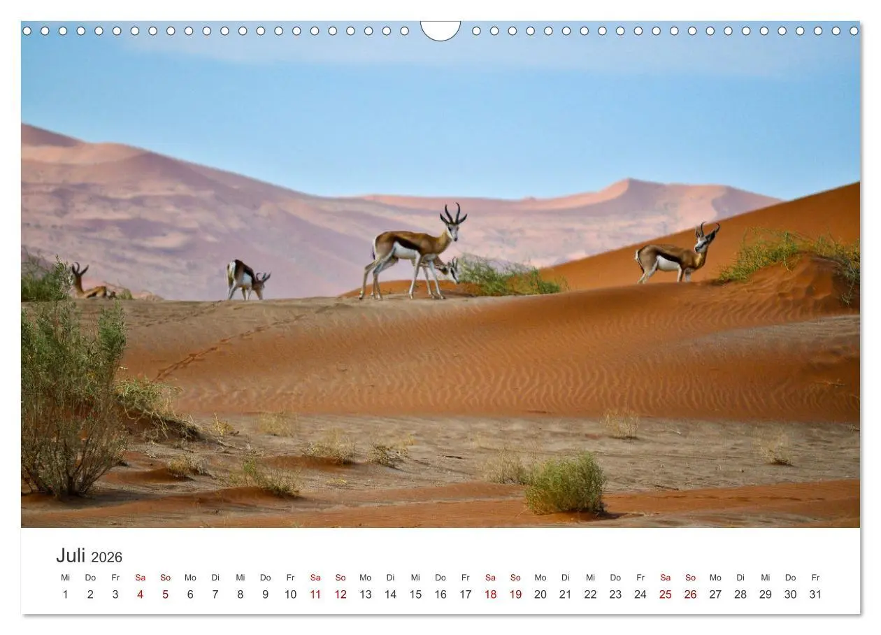 Bild: 9783457599990 | Namibia - Das wunderschöne Land am Atlantik. (Wandkalender 2026 DIN...
