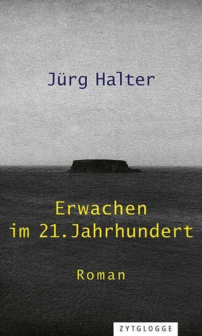 Cover: 9783729609990 | Erwachen im 21. Jahrhundert | Roman | Jürg Halter | Buch | 227 S.