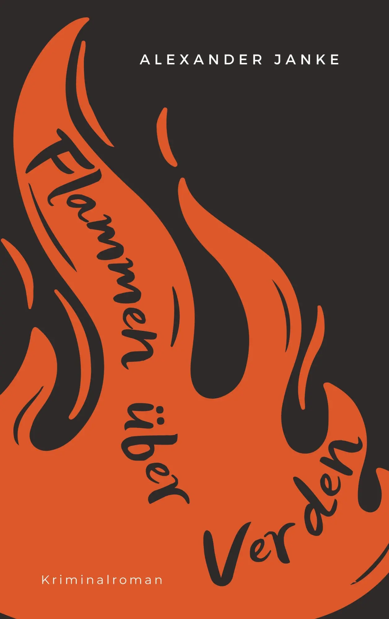 Cover: 9783819249990 | Flammen über Verden | Kriminalroman | Alexander Janke | Taschenbuch