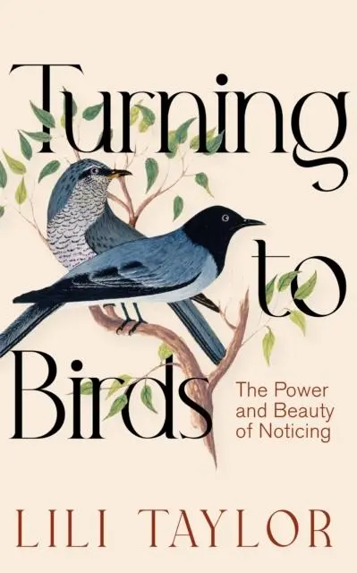 Cover: 9781035070091 | Turning to Birds | The Power and Beauty of Noticing | Lili Taylor