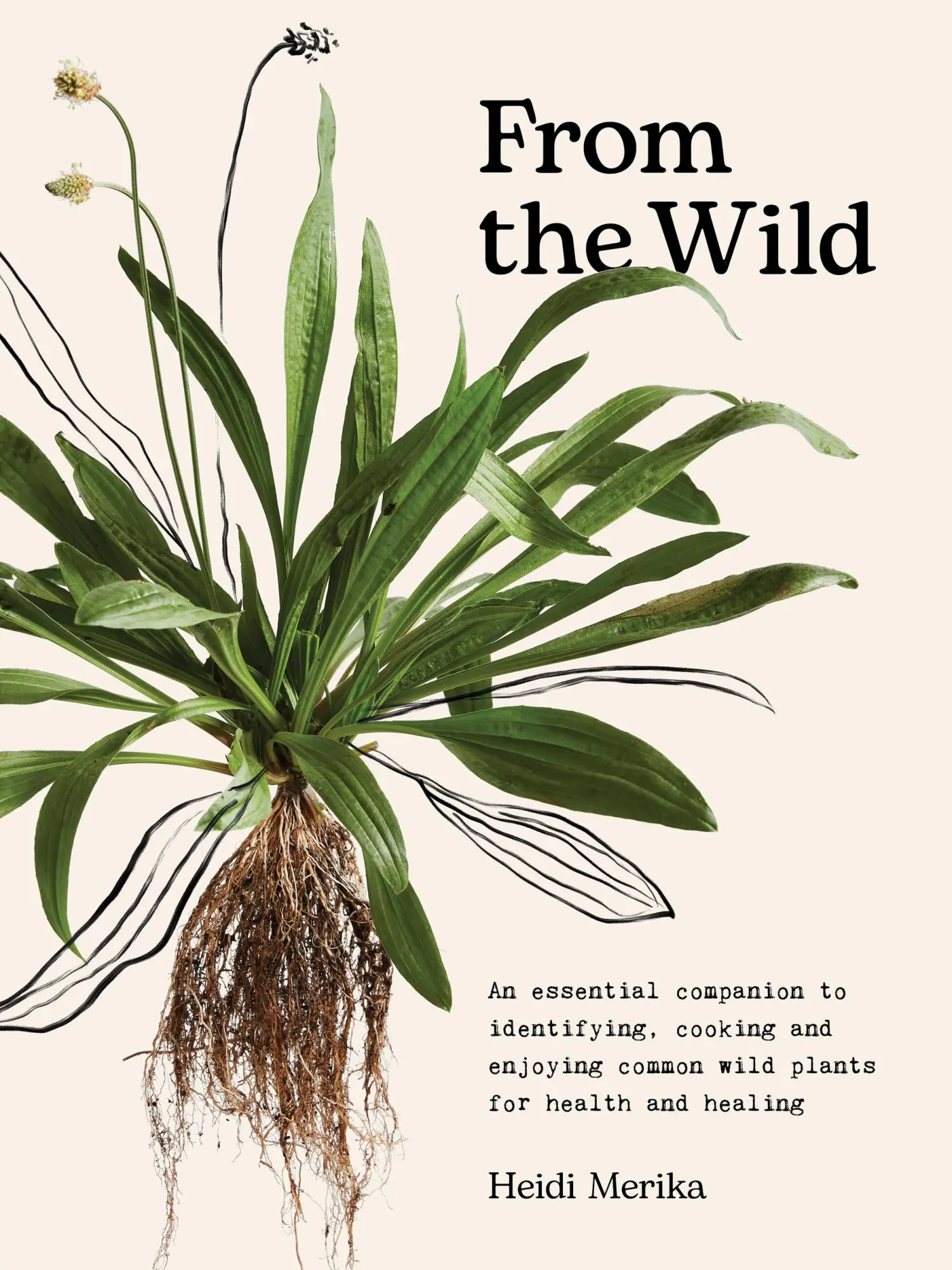 Cover: 9781761500091 | From the Wild | Heidi Merika | Buch | Englisch | 2024 | Murdoch Books