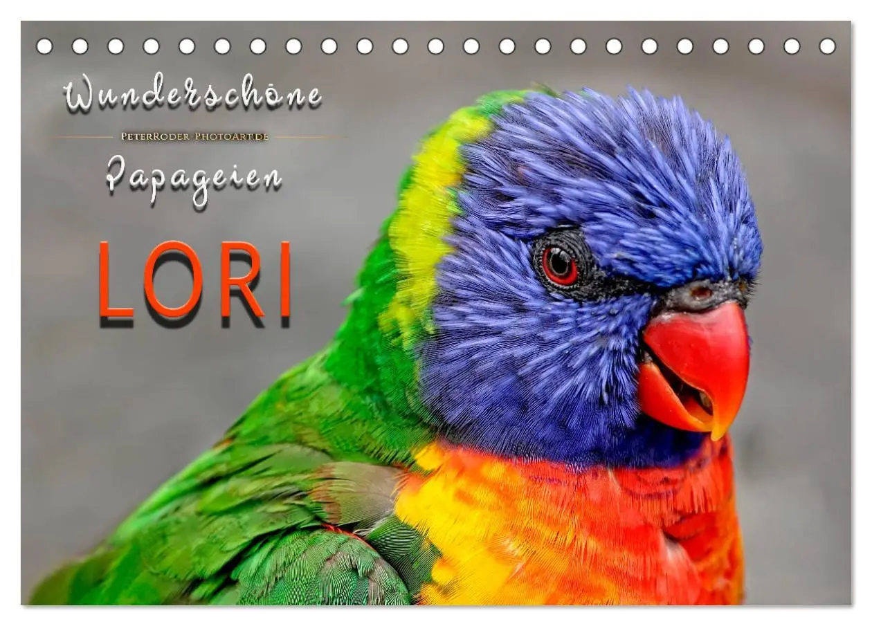 Cover: 9783457920091 | Wunderschöne Papageien - Lori (Tischkalender 2026 DIN A5 quer),...