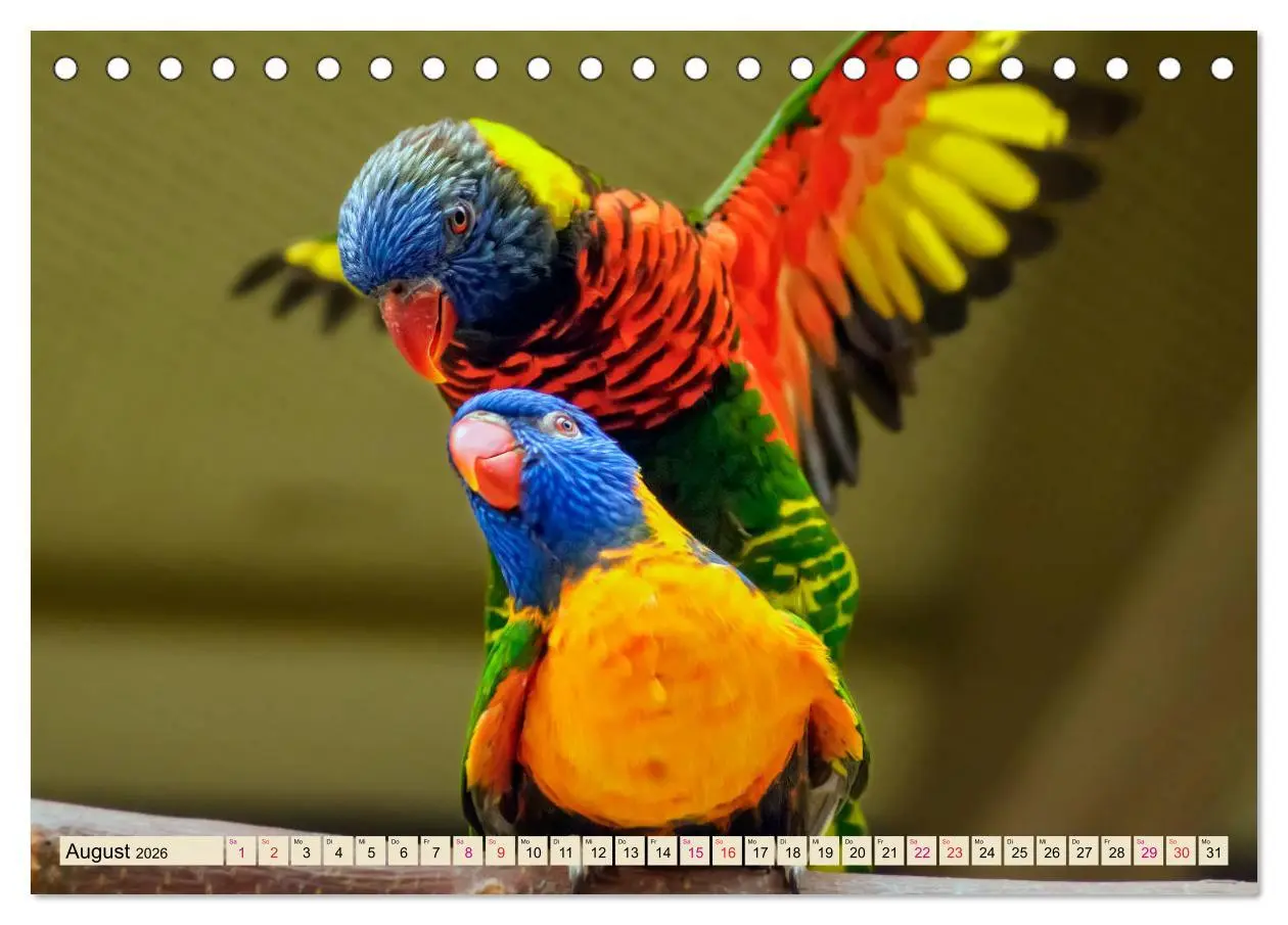 Bild: 9783457920091 | Wunderschöne Papageien - Lori (Tischkalender 2026 DIN A5 quer),...